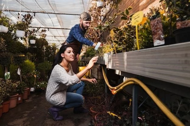 Выращивание земляники на балконе круглогодично: мой опыт