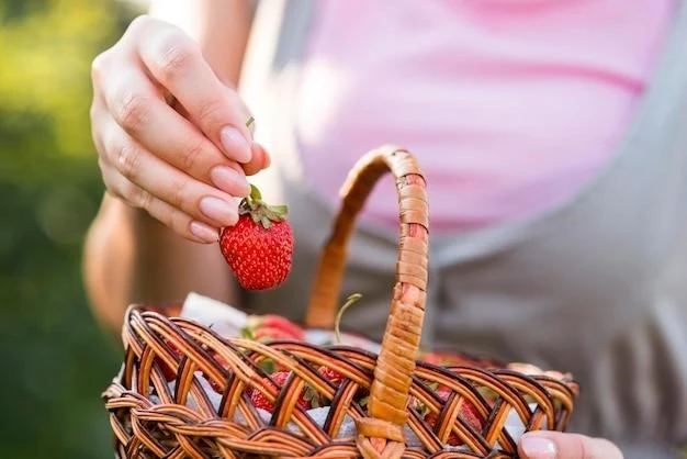 Выращиваем сладкую ягоду: мой опыт с контейнерной клубникой