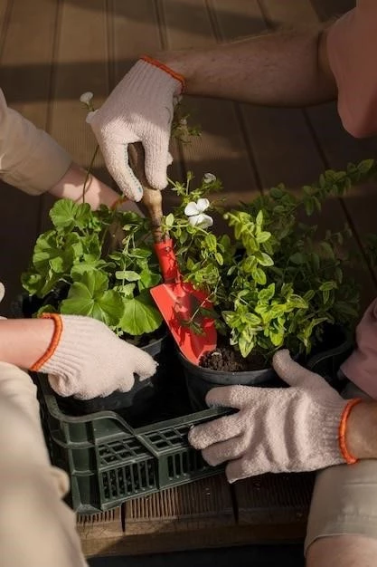Сладкая зима: Выращиваем сочную землянику на гидропонике прямо на подоконнике