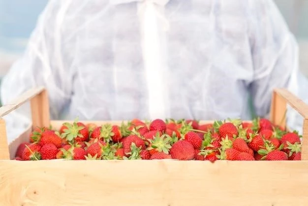 Мой опыт выращивания земляники в домашних условиях: от семечка до ягоды
