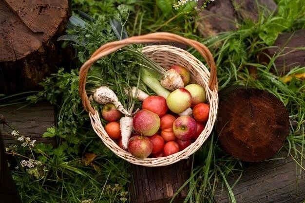 Выращивание крыжовника на дачном участке: мой опыт